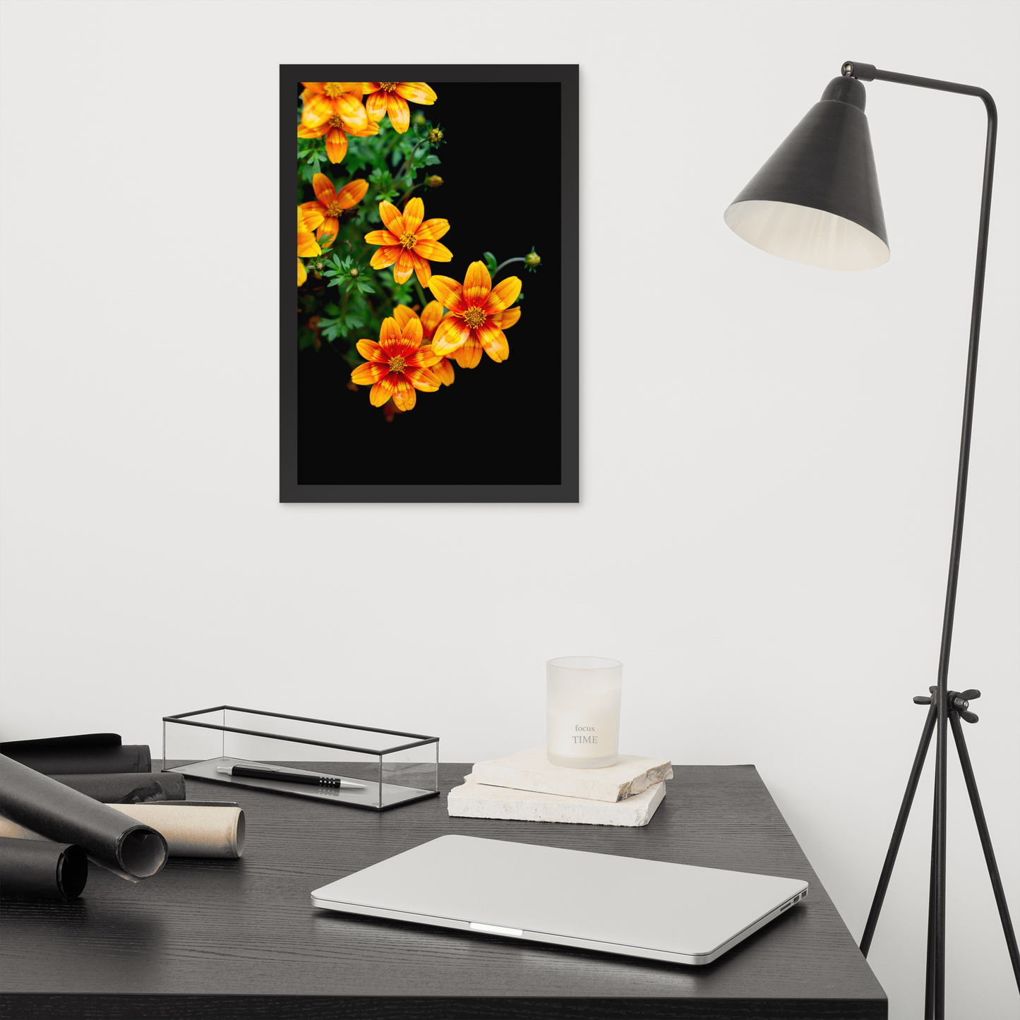 Fireflower | Framed Photographic Print | 12" x 18"